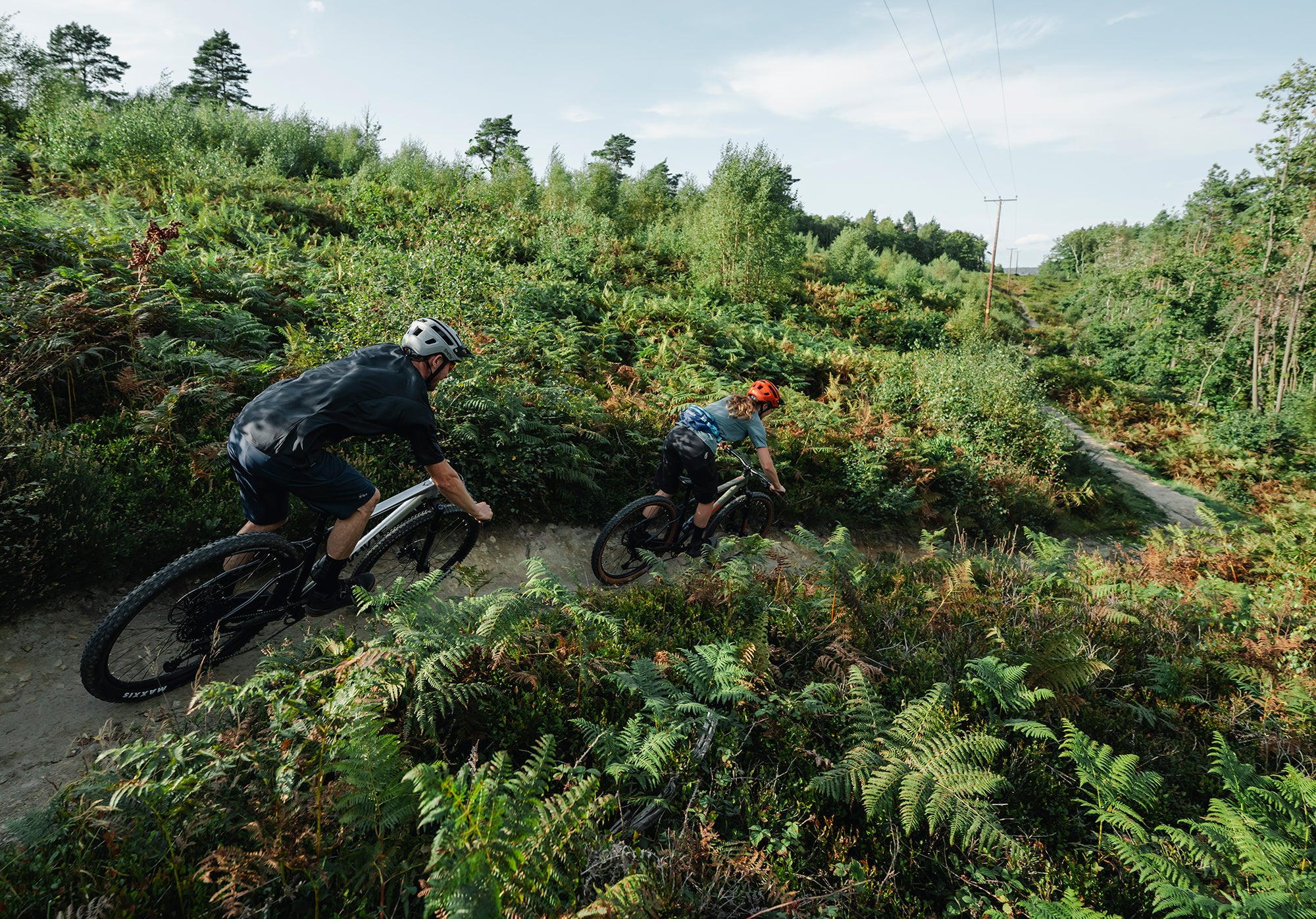 529  trail mountain bike - Image 11