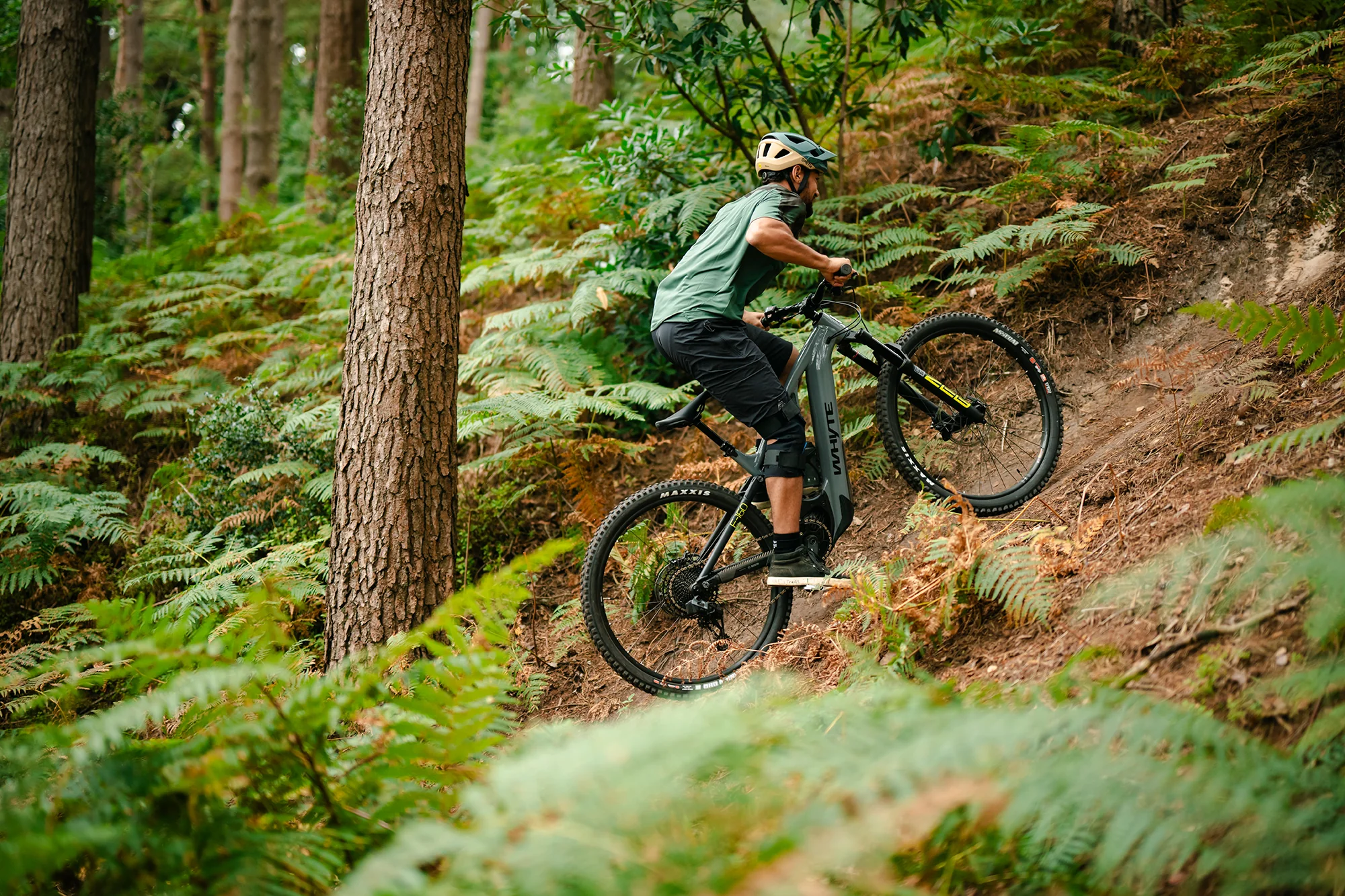 E-160 S trail/enduro electric mountain bike - Image 8