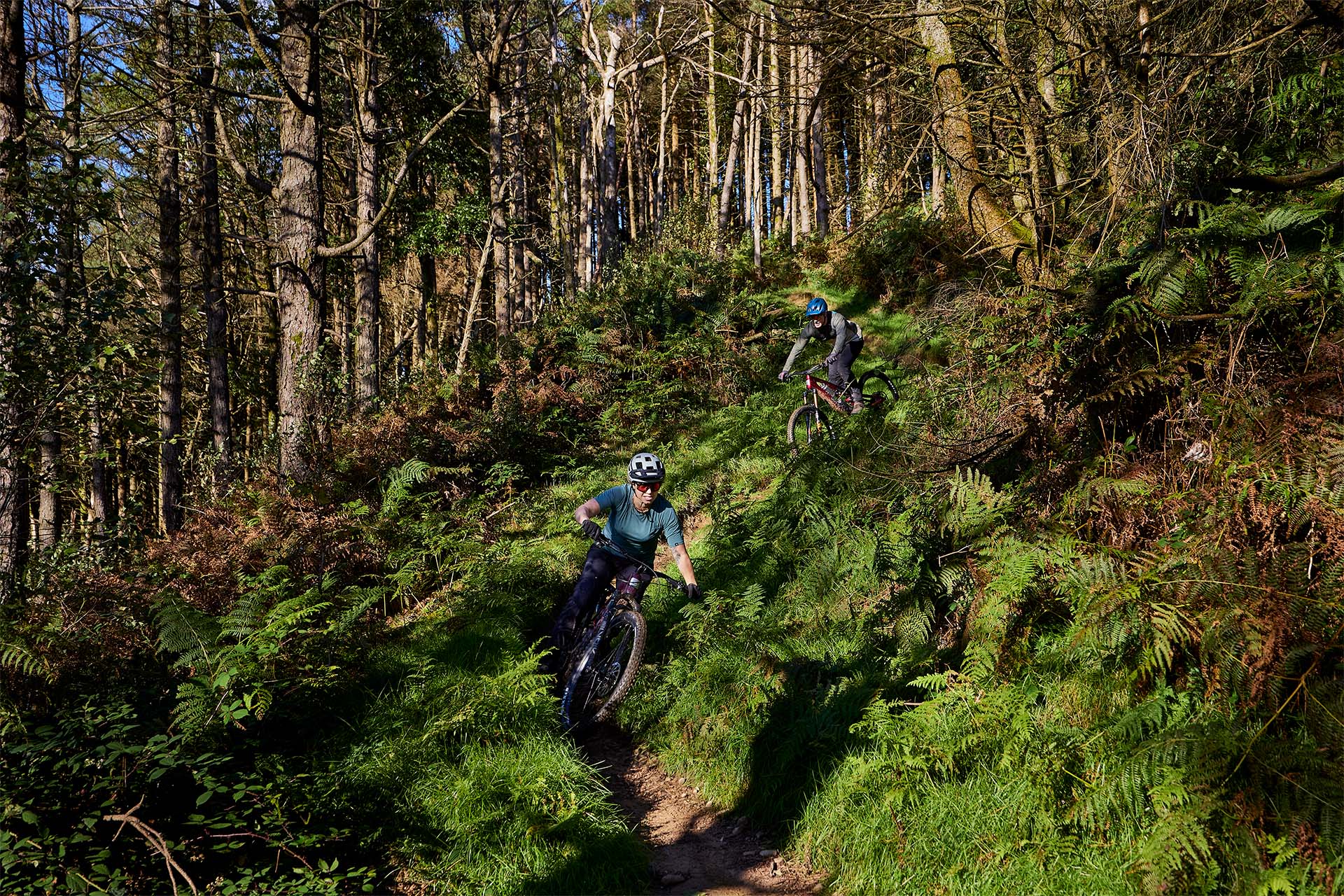 ELyte EVO Stag Works Trail/enduro electric mountain bike - Image 15
